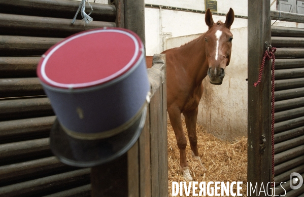 L équitation militaire