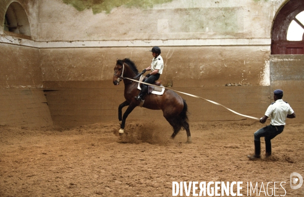L équitation militaire