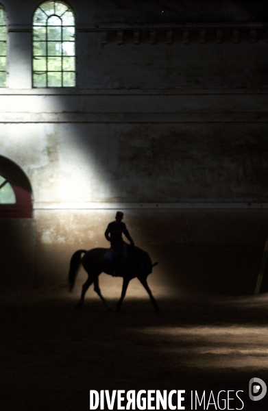 L équitation militaire