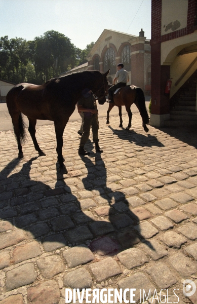 L équitation militaire