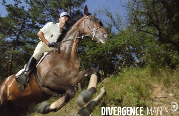 L équitation militaire