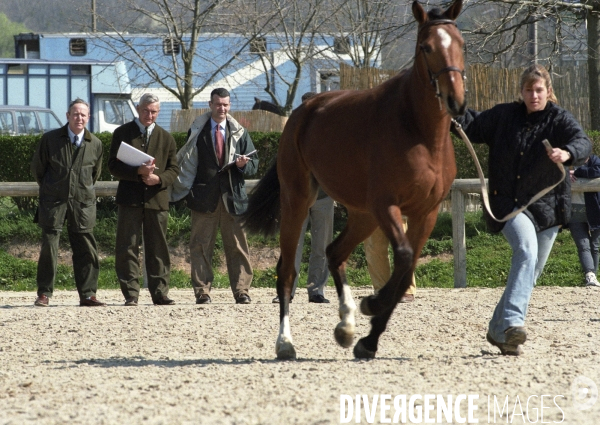 L équitation militaire