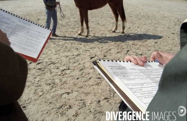 L équitation militaire