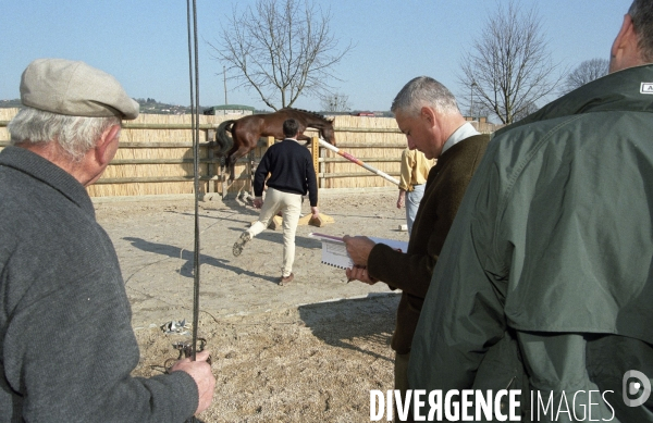 L équitation militaire