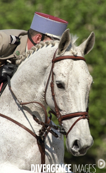 L équitation militaire