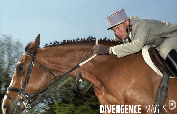 L équitation militaire
