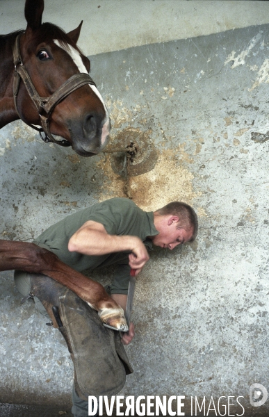 L équitation militaire