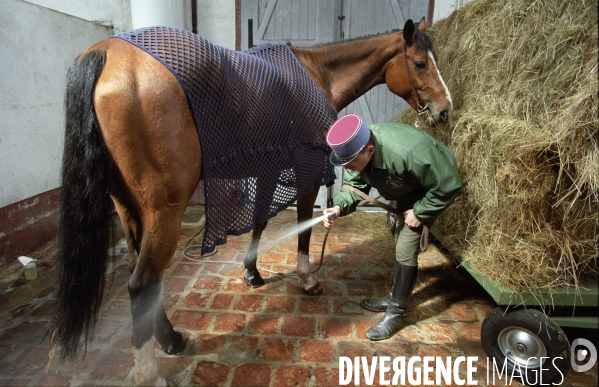L équitation militaire