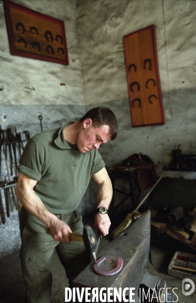 L équitation militaire