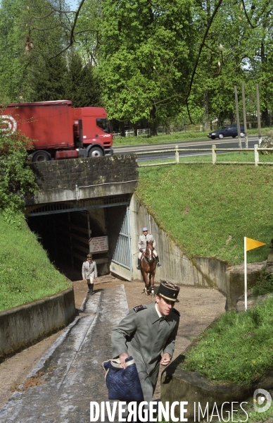 L équitation militaire