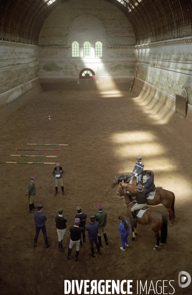 L équitation militaire