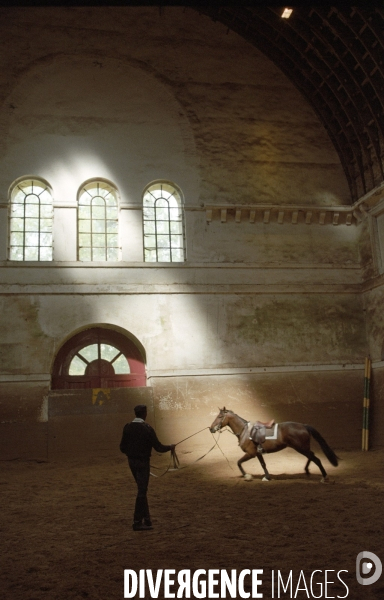 L équitation militaire