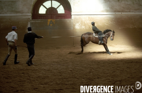 L équitation militaire