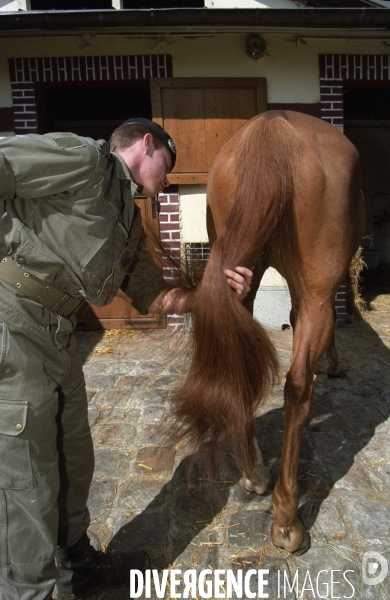 L équitation militaire