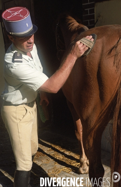 L équitation militaire