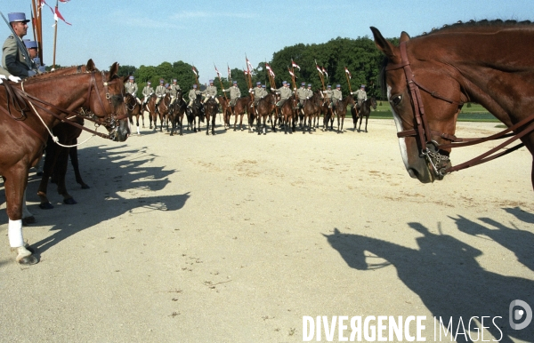 L équitation militaire