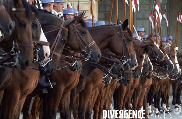 L équitation militaire