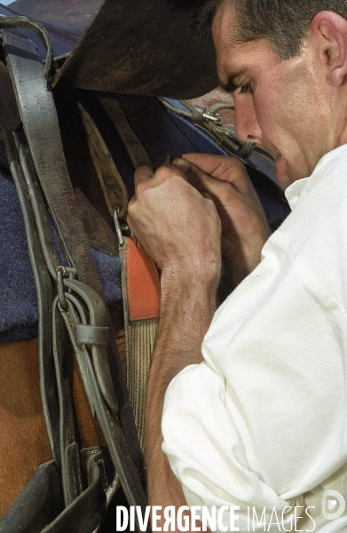 L équitation militaire
