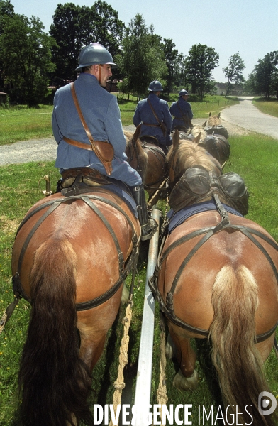 L équitation militaire