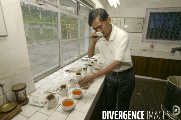 Le the en inde:bengale