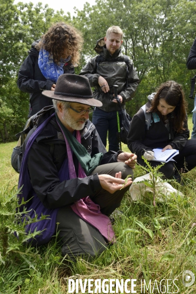 Journée botanique