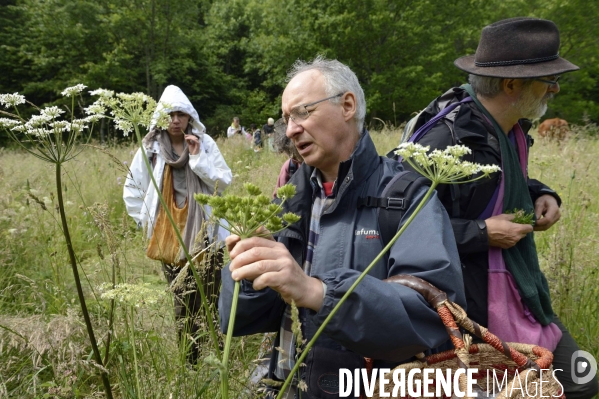 Journée botanique