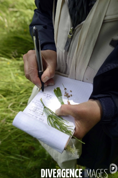 Journée botanique