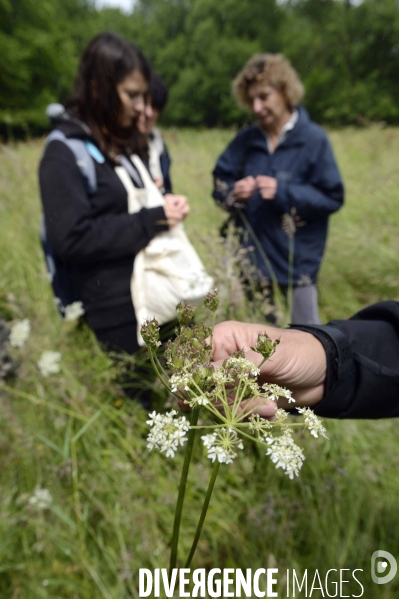 Journée botanique