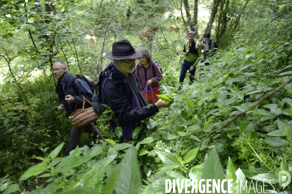 Journée botanique