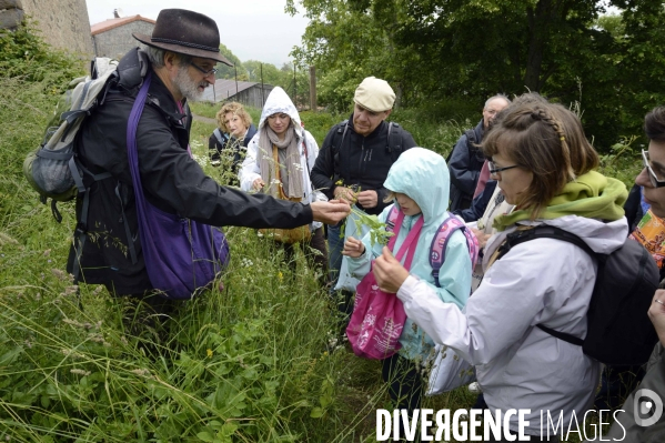 Journée botanique