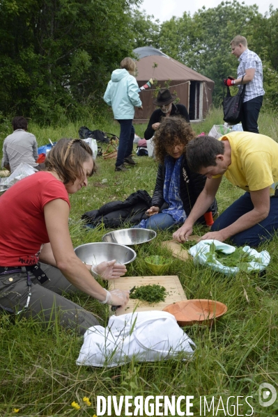 Journée botanique