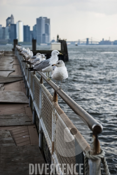 New York City