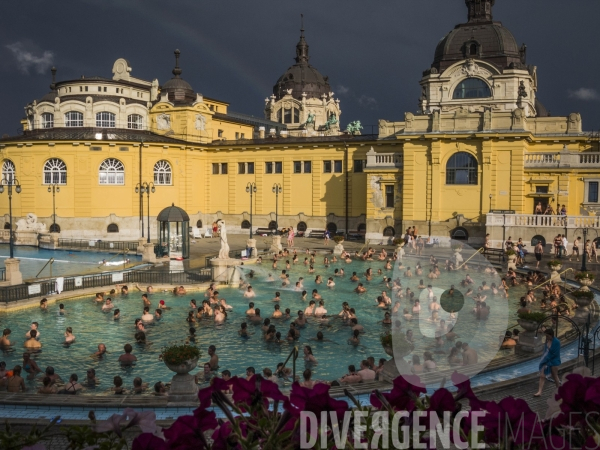 Les thermes Széchenyi