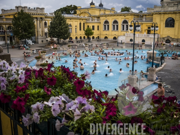 Les thermes Széchenyi