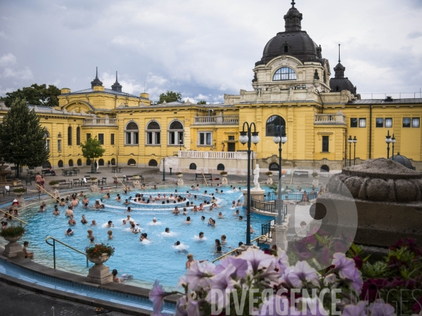 Les thermes Széchenyi