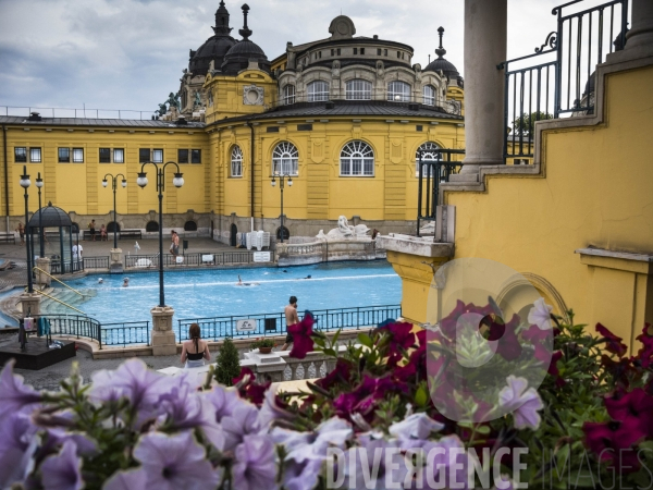 Les thermes Széchenyi