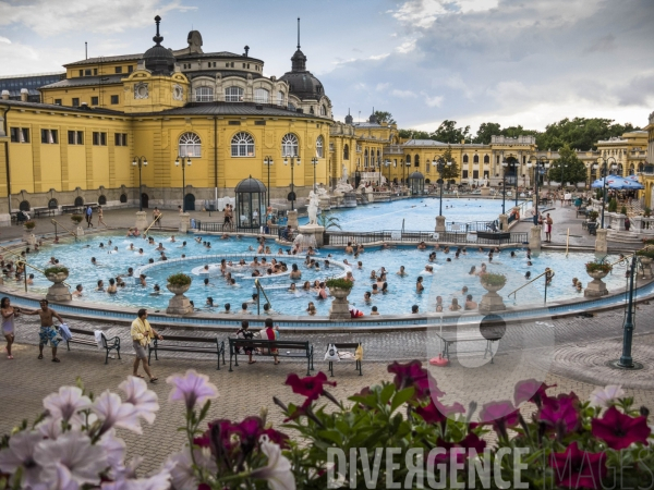 Les thermes Széchenyi