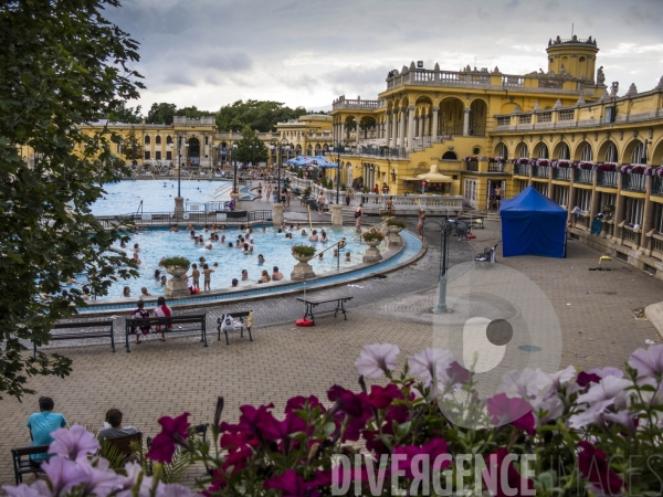 Les thermes Széchenyi