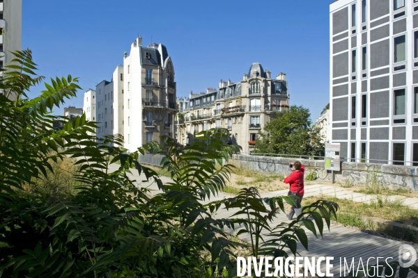 La petite ceinture se  transforme en promenade dans le 15 eme arrondissement