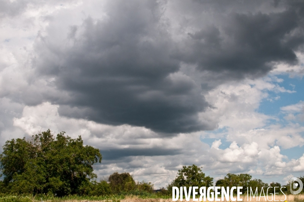 Arbres, ciel, nuages