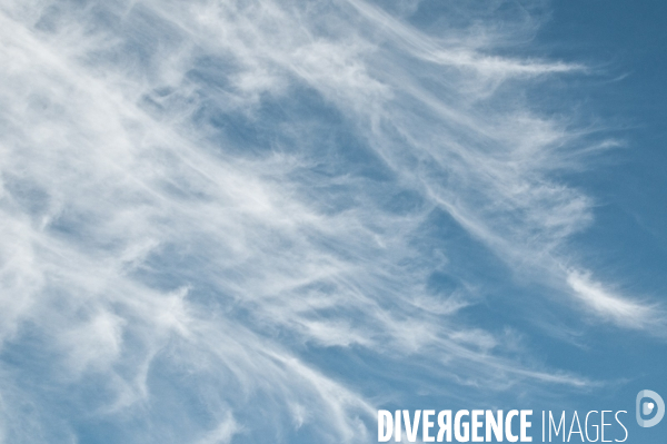 Arbres, ciel, nuages