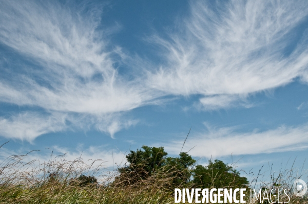 Arbres, ciel, nuages