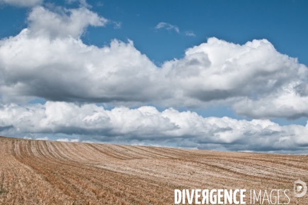 Arbres, ciel, nuages