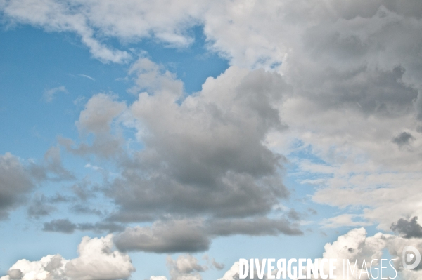 Arbres, ciel, nuages