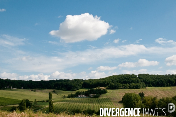 Arbres, ciel, nuages