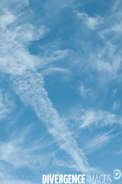 Arbres, ciel, nuages