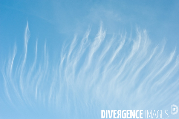 Arbres, ciel, nuages