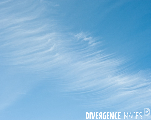 Arbres, ciel, nuages