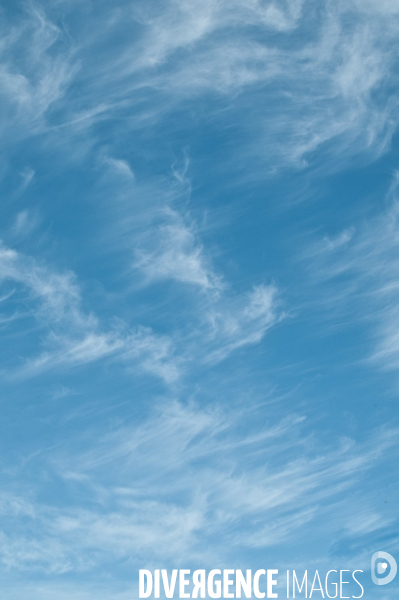 Arbres, ciel, nuages
