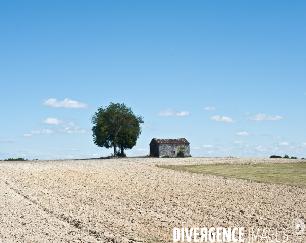 Arbres, ciel, nuages